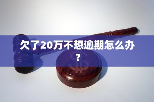 欠了20万不想逾期怎么办？