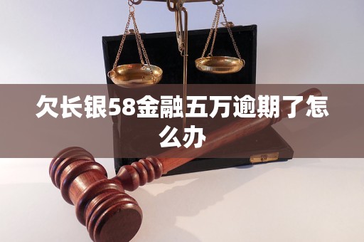 欠长银58金融五万逾期了怎么办