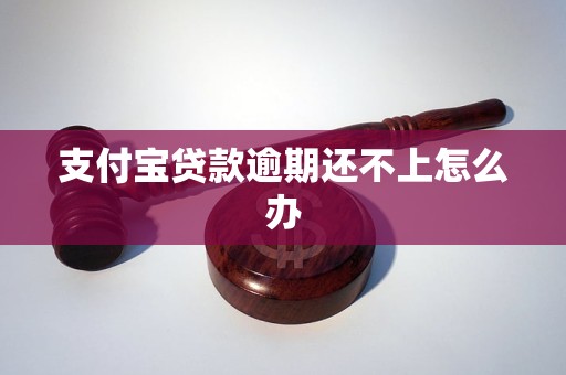 支付宝贷款逾期还不上怎么办