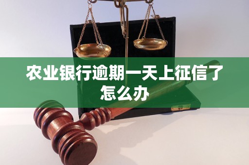 农业银行逾期一天上征信了怎么办