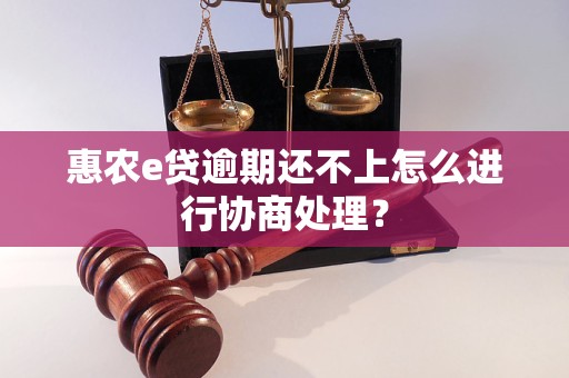 惠农e贷逾期还不上怎么进行协商处理？