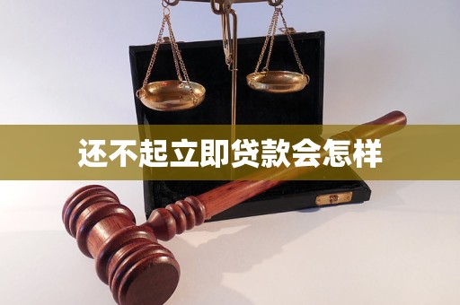 还不起立即贷款会怎样