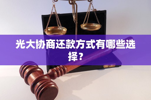 光大协商还款方式有哪些选择？