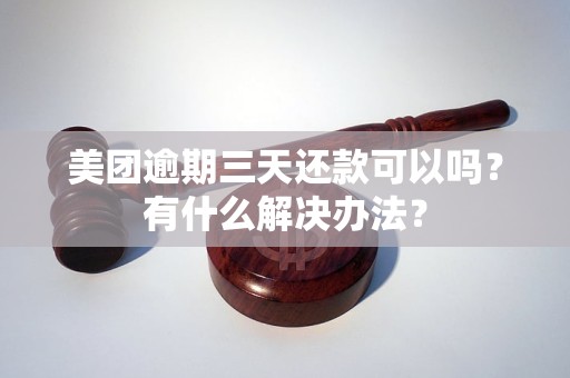 美团逾期三天还款可以吗？有什么解决办法？