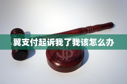 翼支付起诉我了我该怎么办