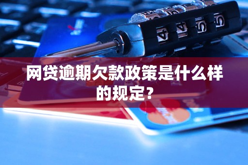 网贷逾期欠款政策是什么样的规定？