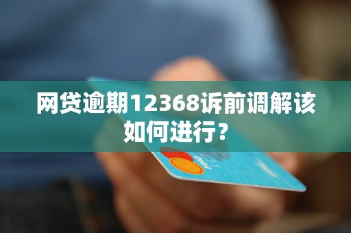 网贷逾期12368诉前调解该如何进行？