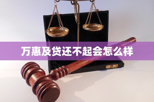 万惠及贷还不起会怎么样