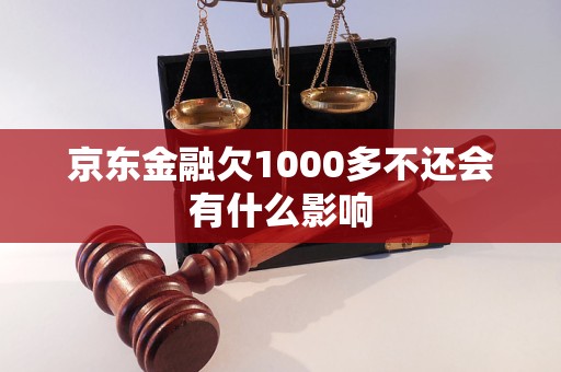 京东金融欠1000多不还会有什么影响