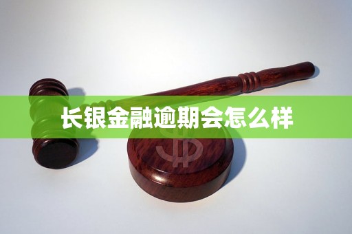 长银金融逾期会怎么样