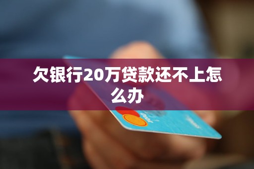 欠银行20万贷款还不上怎么办