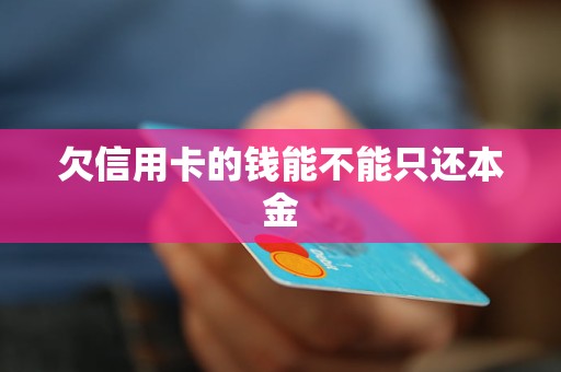 欠信用卡的钱能不能只还本金