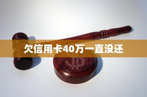 欠信用卡40万一直没还