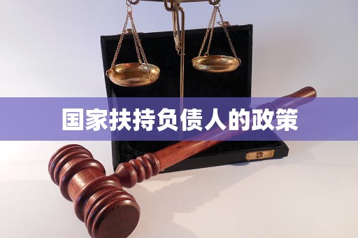 国家扶持负债人的政策