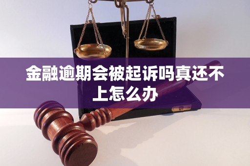 金融逾期会被起诉吗真还不上怎么办