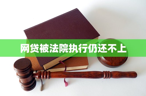 网贷被法院执行仍还不上