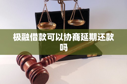 极融借款可以协商延期还款吗