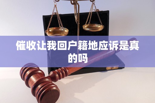 催收让我回户籍地应诉是真的吗