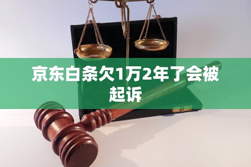 京东白条欠1万2年了会被起诉