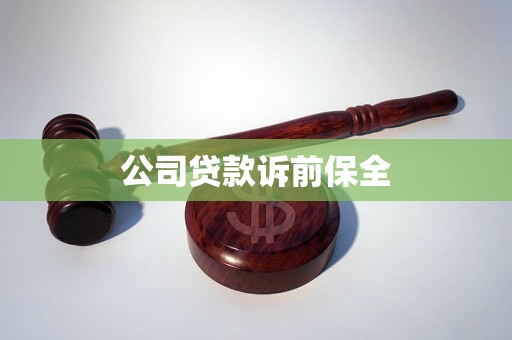 公司贷款诉前保全