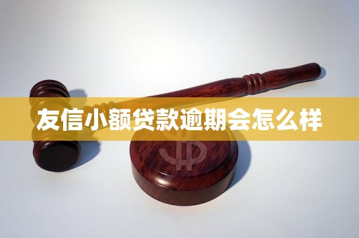 友信小额贷款逾期会怎么样