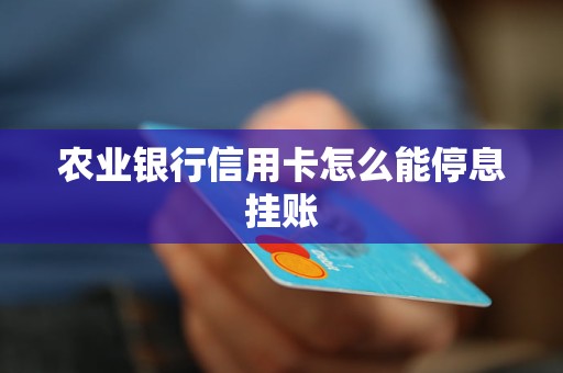 农业银行信用卡怎么能停息挂账