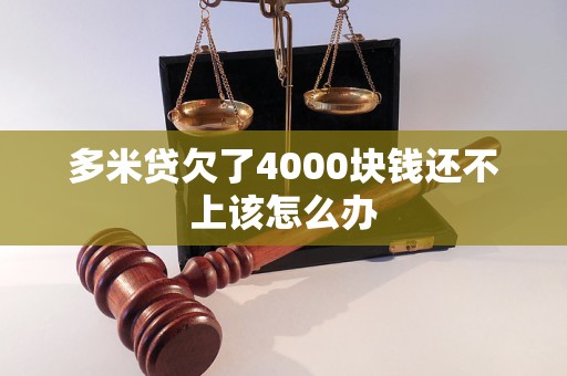 多米贷欠了4000块钱还不上该怎么办