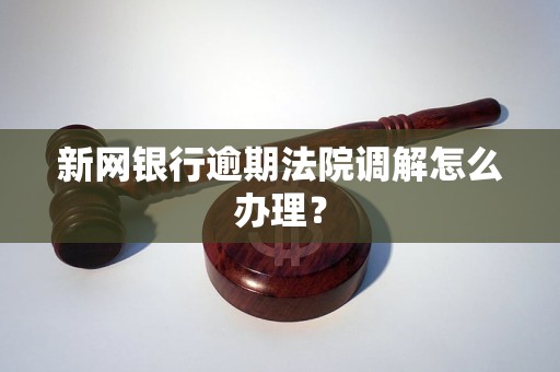 新网银行逾期法院调解怎么办理？