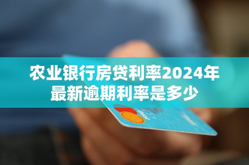 农业银行房贷利率2024年最新逾期利率是多少