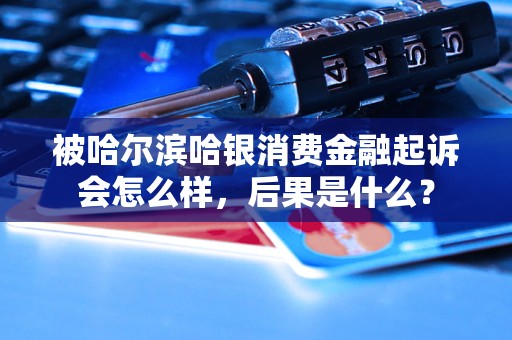 被哈尔滨哈银消费金融起诉会怎么样，后果是什么？