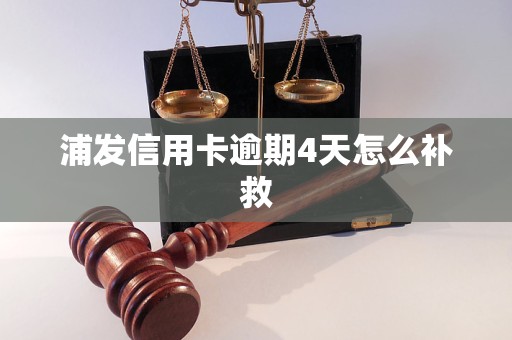 浦发信用卡逾期4天怎么补救