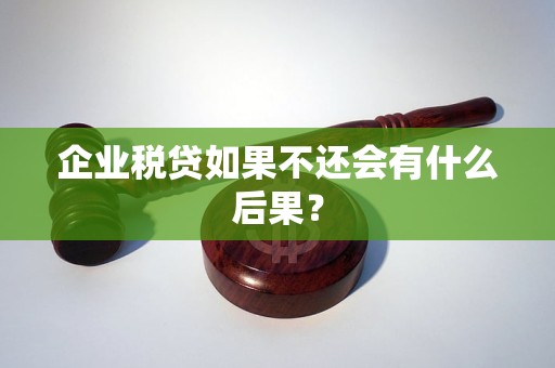 企业税贷如果不还会有什么后果？