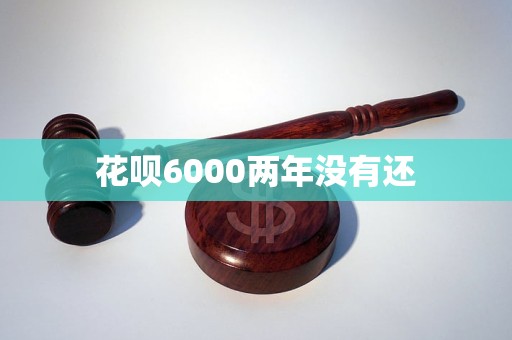 花呗6000两年没有还