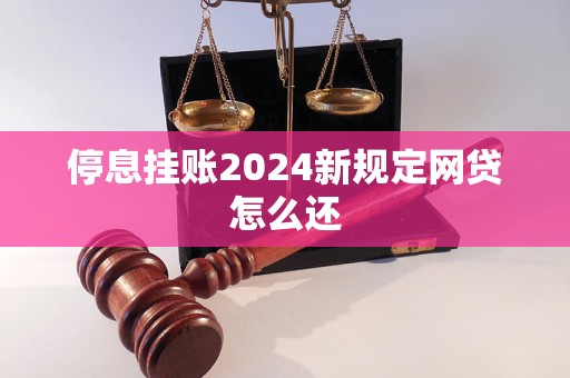 停息挂账2024新规定网贷怎么还