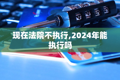 现在法院不执行,2024年能执行吗