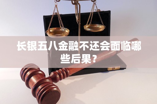 长银五八金融不还会面临哪些后果？