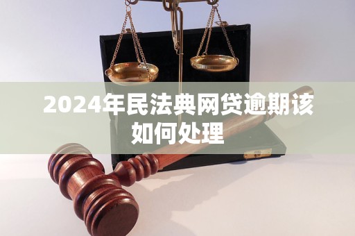 2024年民法典网贷逾期该如何处理