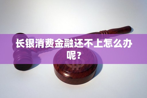 长银消费金融还不上怎么办呢？