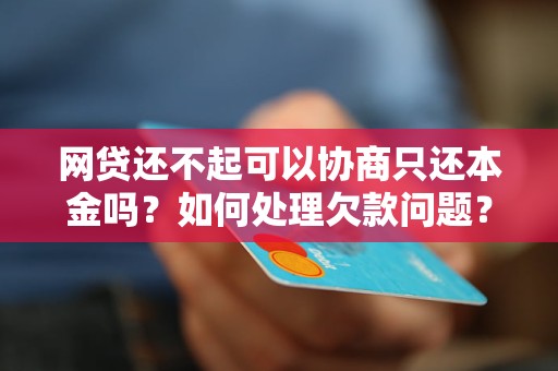 网贷还不起可以协商只还本金吗？如何处理欠款问题？