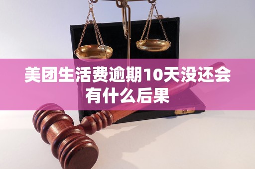 美团生活费逾期10天没还会有什么后果