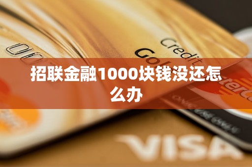 招联金融1000块钱没还怎么办