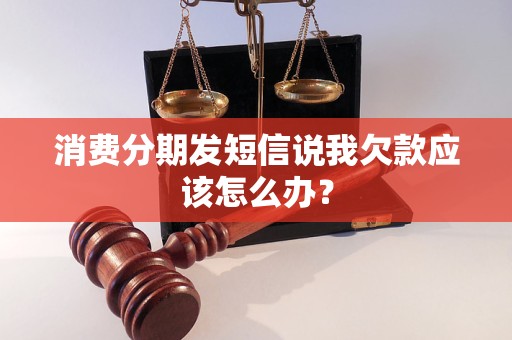 消费分期发短信说我欠款应该怎么办？