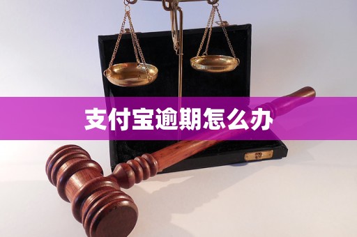 支付宝逾期怎么办