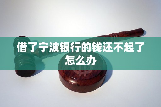 借了宁波银行的钱还不起了怎么办