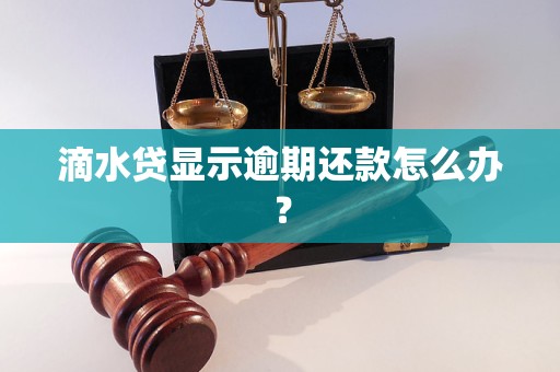 滴水贷显示逾期还款怎么办？