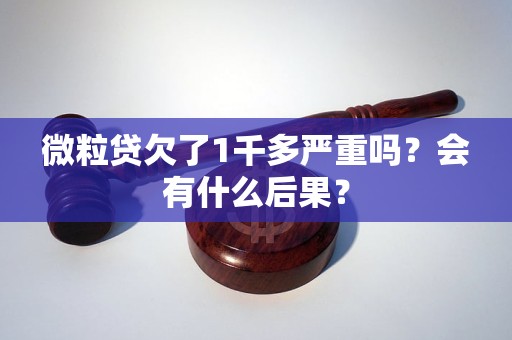 微粒贷欠了1千多严重吗？会有什么后果？