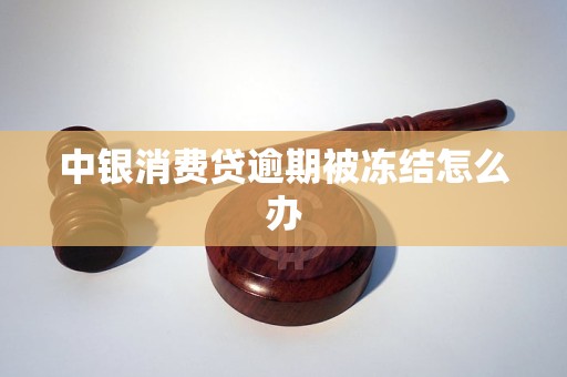 中银消费贷逾期被冻结怎么办