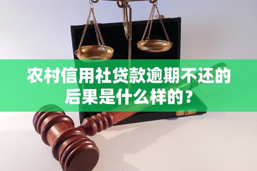 农村信用社贷款逾期不还的后果是什么样的？