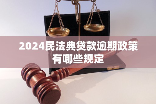 2024民法典贷款逾期政策有哪些规定