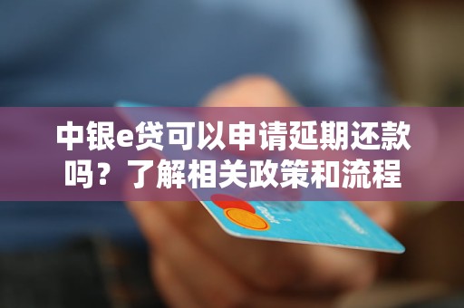 中银e贷可以申请延期还款吗？了解相关政策和流程